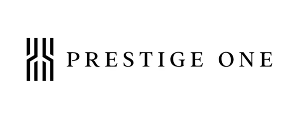 Developer Logo